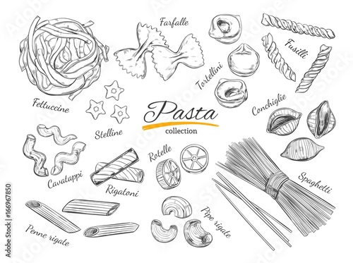 Italian Pasta set. Different types of pasta. Vector hand drawn illustration. Isolated objects on white. Sketch style