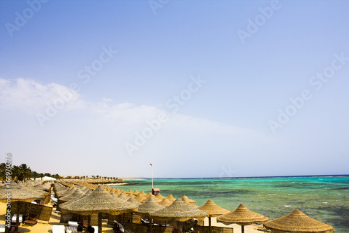 Fototapeta Naklejka Na Ścianę i Meble -  Red Sea beach Red sea Egypt