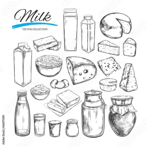 Dairy products vector collection. Milk products, cheese , butter, sour cream, curd, yogurt. Farm foods. Farm landscape with cow. Hand drawn illustration. Isolated objects on white