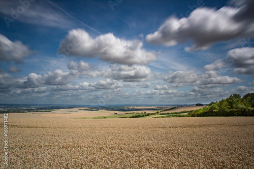 Summer Landscape looking from the Ridgeway in British Countryside