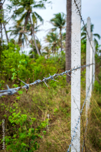 Concrete posts lined up build a fence of barbed wire in the jungle