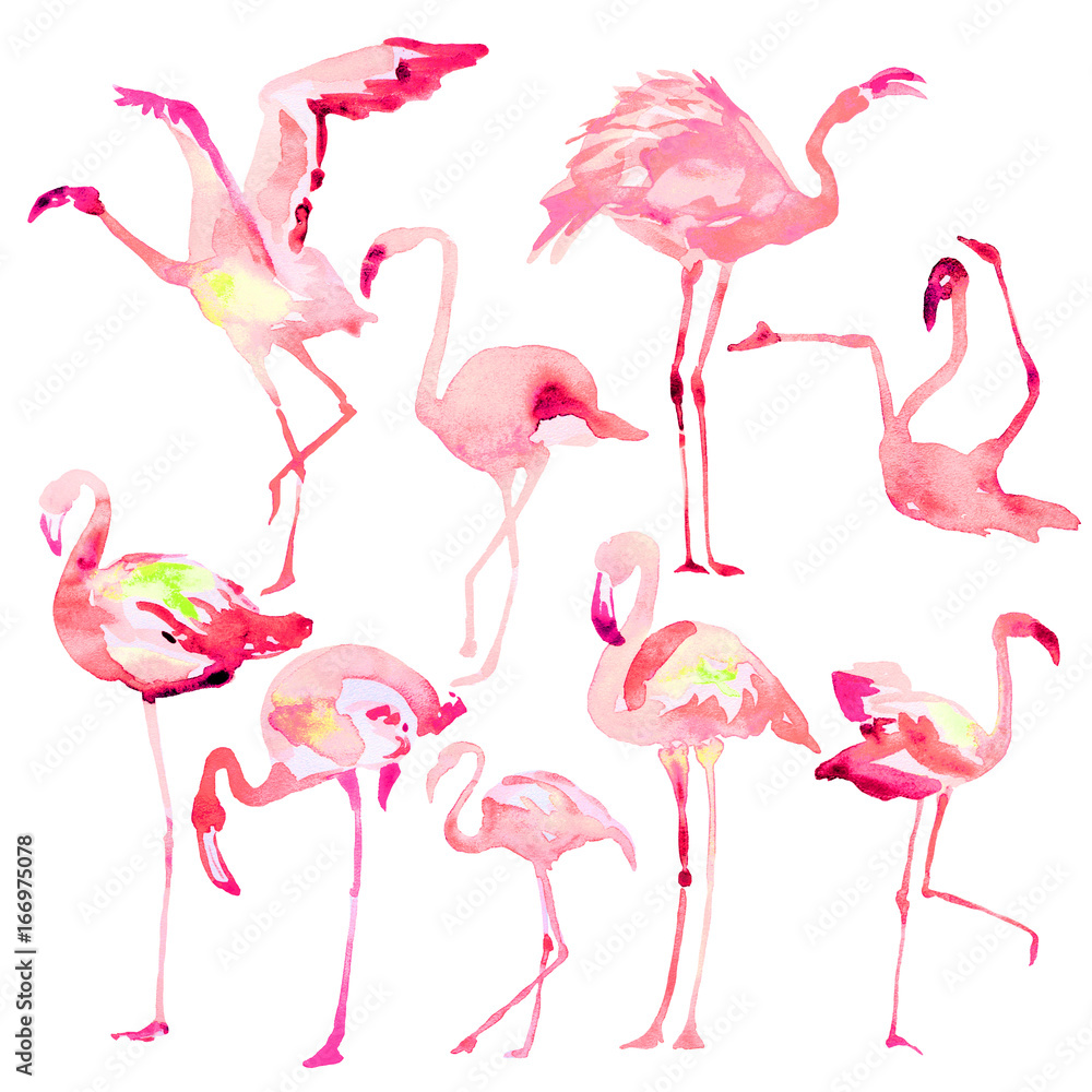 Naklejka premium Piękne flamingi akwarela, isolaned na białym. Duży zestaw.