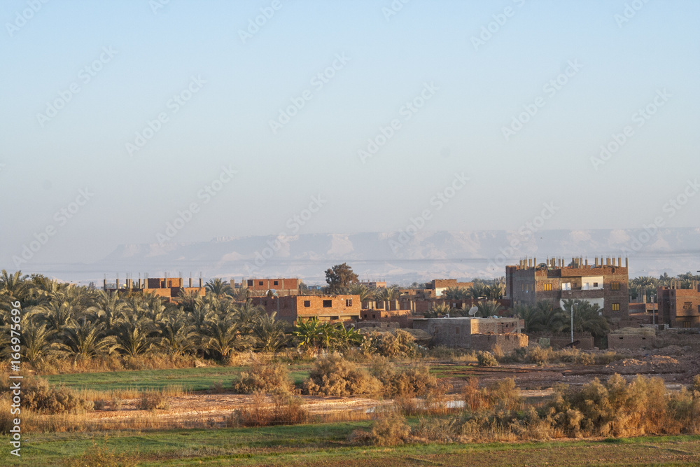 Obraz premium Fields at Dahla oasis, Egypt.