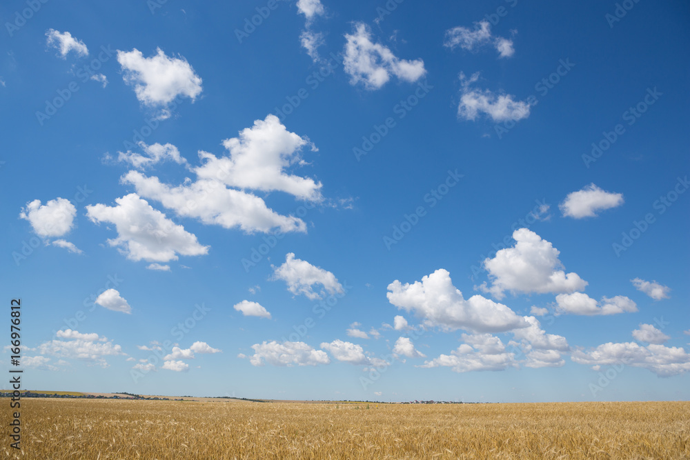 Light gentle cloud on a blue sky Light gentle cloud on a blue sky