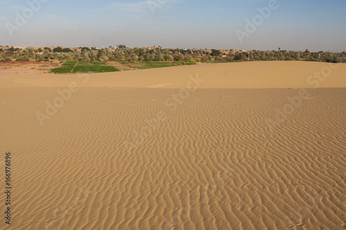 Sandunes in Dakhla oasis. photo