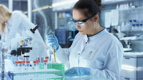 Female Research Scientist Uses Micropipette Filling Test Tubes in a Big Modern Laboratory. In the Background Scientists are Working. photo