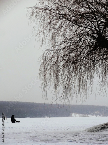 winter, snow, cold, ice, man, fisherman, fishing, rod tree, ternopol photo