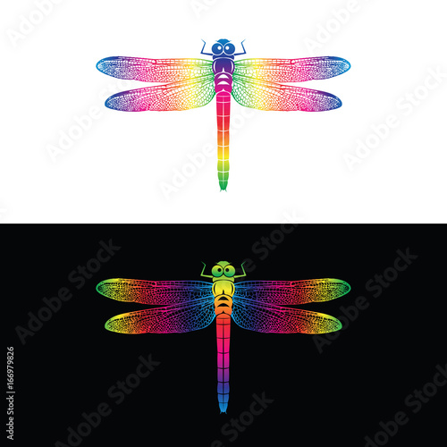 Vector of colorful dragonfly design on white background and  on black background . Insect Animal.