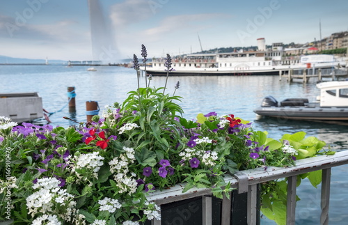 Embankment of Lake Geneva, Geneva city, Switzerland