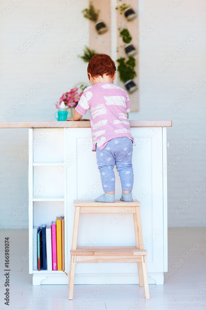 cute toddler baby climbs on step stool, trying to reach things on the high desk in the kitchen cute toddler baby climbs on step stool, trying to reach things on the high desk in the kitchen