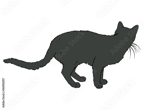 Black Cat Turned His Back © deepfuze