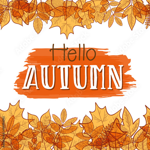 Seamless horizontal borders with colorful skeleton autumn leaves, hello autumn. Vector