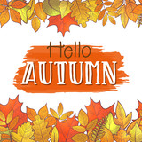 Seamless horizontal borders with colorful skeleton autumn leaves, hello autumn. Vector