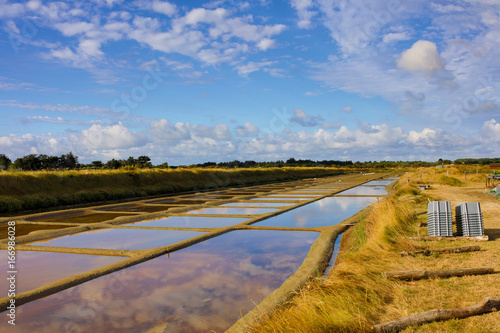 marais salant olonne sur mer