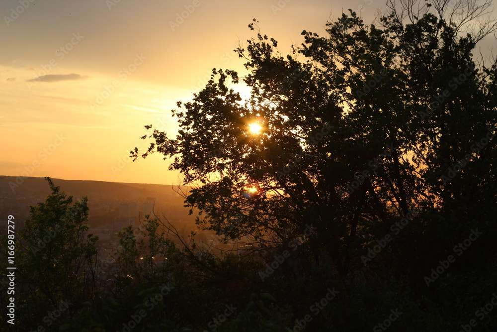 Golden sunset Golden sunset
