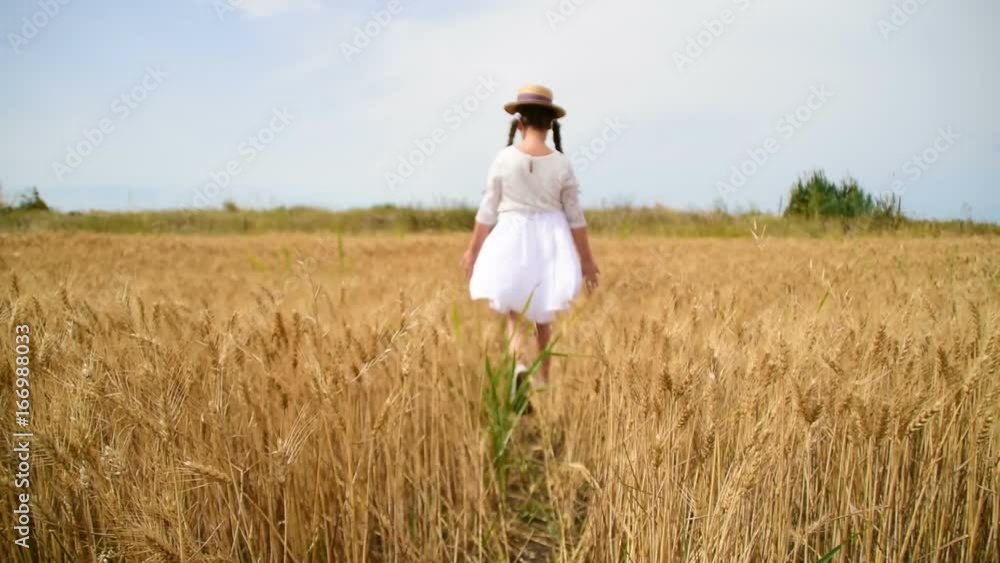 Beautiful scene,girl walking trough the field of grain Beautiful scene,girl walking trough the field of grain