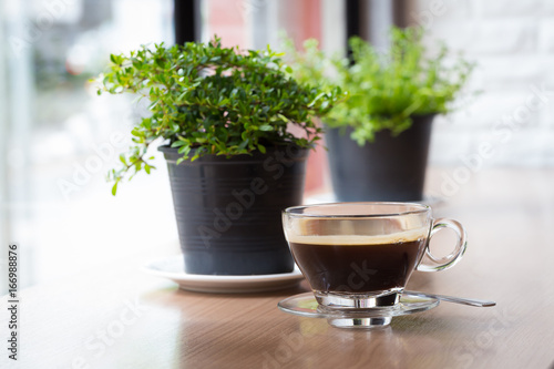 Coffee cup with house plant