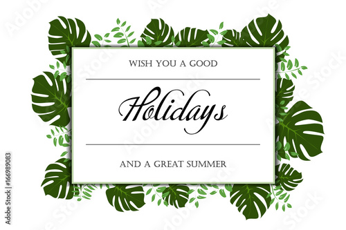 greenery holidays monstera