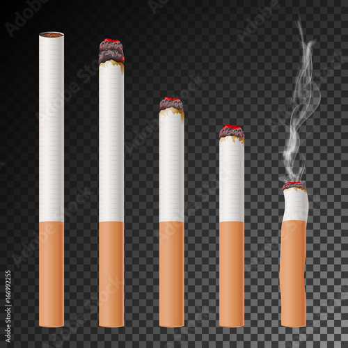 Cigarette Set Vector. Realistic Cigarette Butt. Different Stages Of Burn. Isolated Illustration. Burning Classic Smoking Cigarette On Transparent Background.