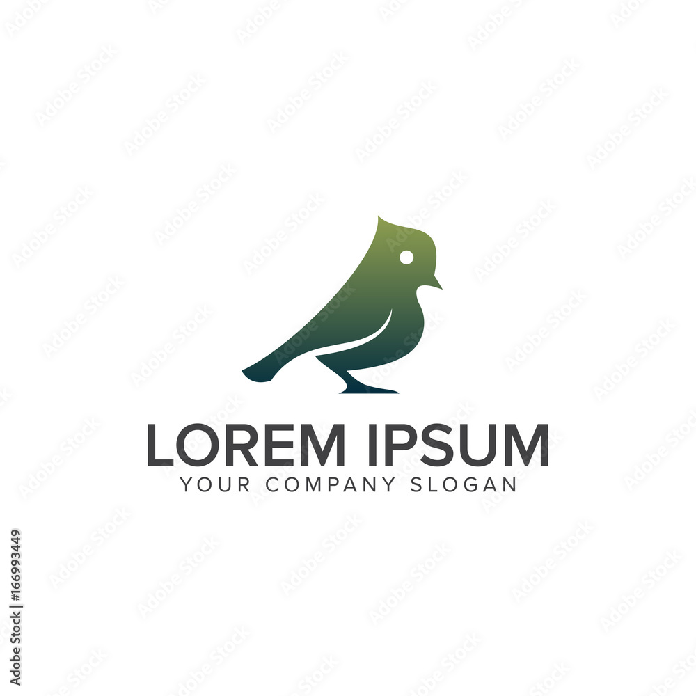 Obraz premium green bird logo design concept template