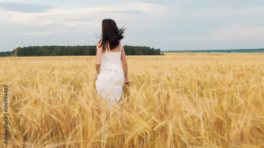 Beauty brunette girl with healthy long hair spinning and laughing outdoor on golden wheat field. Enjoying nature. Young woman in dress having fun outdoor. Sunset. Beauty brunette girl with healthy long hair spinning and laughing outdoor on golden wheat field. Enjoying nature. Young woman in dress having fun outdoor. Sunset.