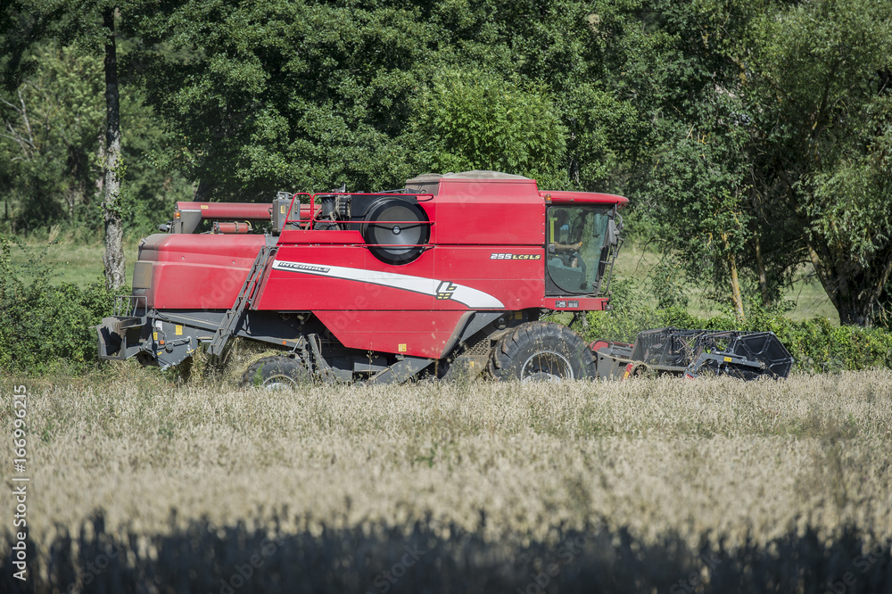 Fototapeta premium moissons à séverac d'aveyron
