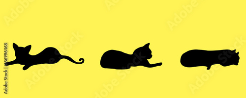 Collection silhouette three black small, funny, playful kitten, isolated on orange background.