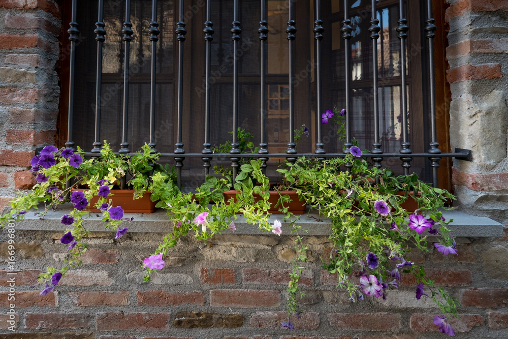 Naklejka premium Lerma, Piedmont, Italy - Views of the ancient village