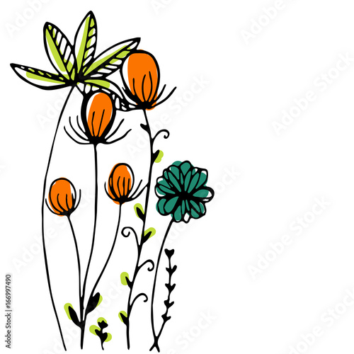 Fototapeta Naklejka Na Ścianę i Meble -  Design of Hand drawn doodle flowers set on white background. Illustration