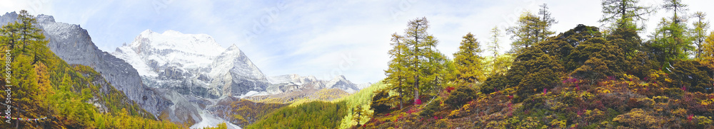 Shangri la, a panorama view of holy snow-clad mountain Chenrezig and yellow orange colored autumn trees in the valley in Yading national level reserve, Daocheng, Sichuan Province, China. Shangri la, a panorama view of holy snow-clad mountain Chenrezig and yellow orange colored autumn trees in the valley in Yading national level reserve, Daocheng, Sichuan Province, China.