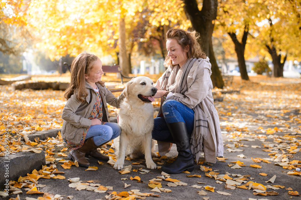 Family woman and her daughter walk autumn park,with his dog golden retriever Family woman and her daughter walk autumn park,with his dog golden retriever