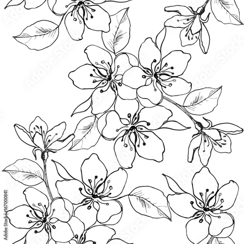 Drawing hands a branch of cherry blossom, pear, apple. Vector seamless pattern of spring flowers. Decorative ornament backdrop for fabric, textile, wrapping paper