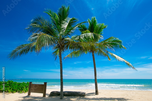 tropical beach with palm trees and blue lagoon © Pakhnyushchyy