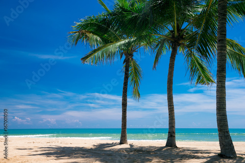 Fototapeta Naklejka Na Ścianę i Meble -  tropical beach with palm trees and blue lagoon