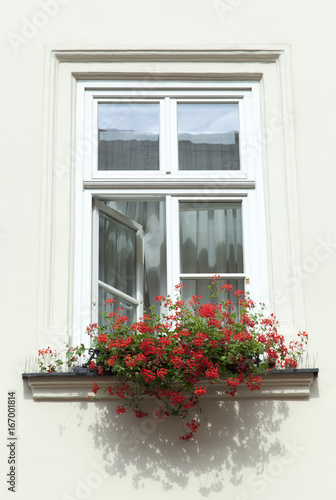 Window With Flowers © Ramunas