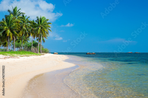 Fototapeta Naklejka Na Ścianę i Meble -  tropical beach with palm trees and blue lagoon