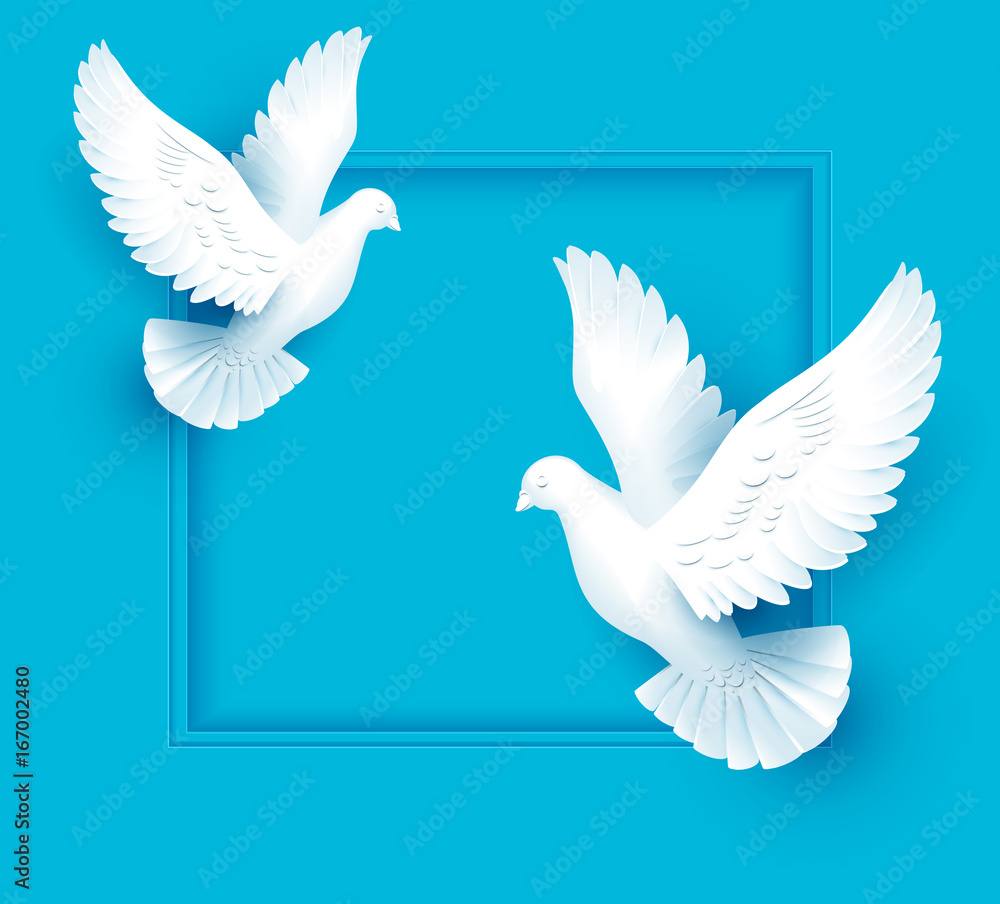 Fototapeta premium Two white dove fly on blue background