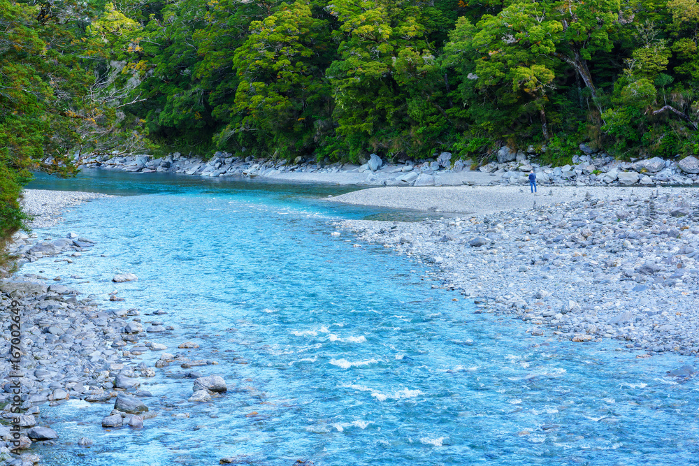 The beautiful Makarora River where the water is really blue at the Blue pools walking track in Mount Aspiring National Park, Wanaka , South Island of New Zealand The beautiful Makarora River where the water is really blue at the Blue pools walking track in Mount Aspiring National Park, Wanaka , South Island of New Zealand