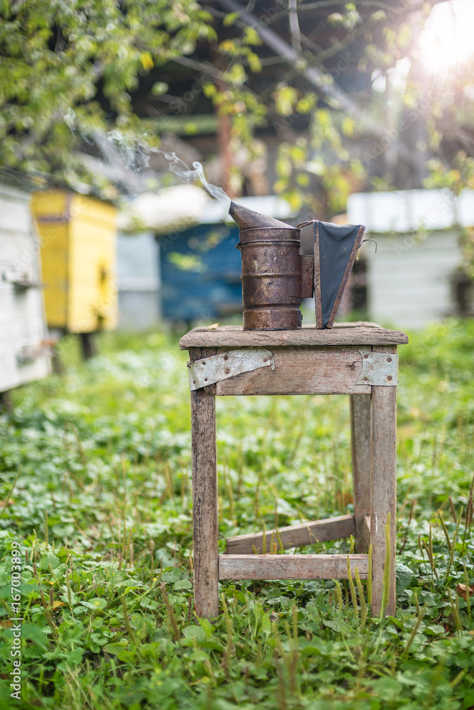 Fototapeta premium Beekeeping equipment - bee smoker, process of obtaining honey, own safety