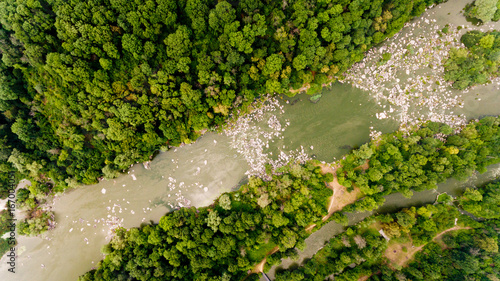 Top aerial view of river in the wood.