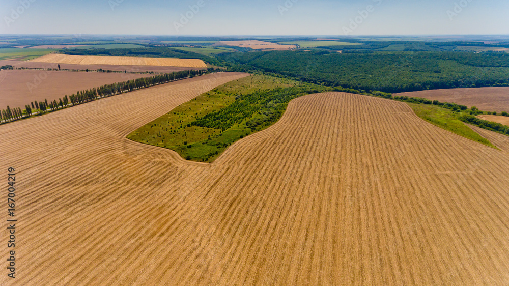 Aerial view of the yellow and green fields. Aerial view of the yellow and green fields.