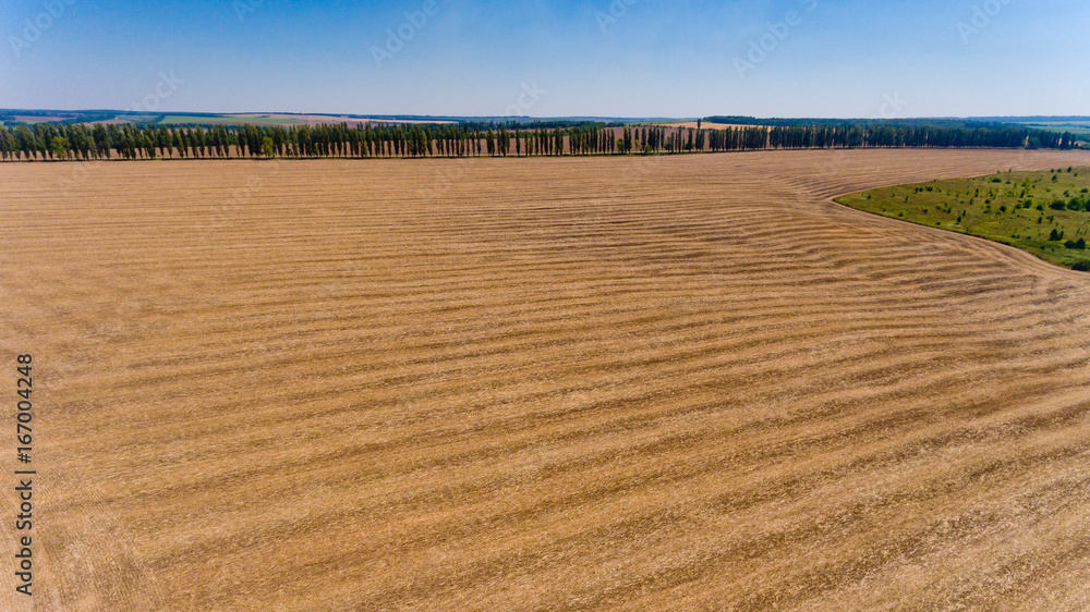 Aerial view of the yellow wheat field. Aerial view of the yellow wheat field.