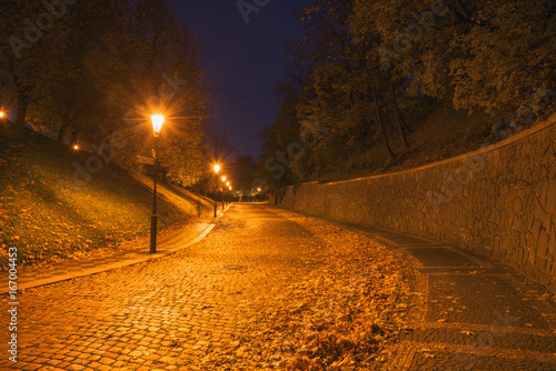 Canvas Print Paving stone road to the ancient fortress (castle) in the historic district Vysh