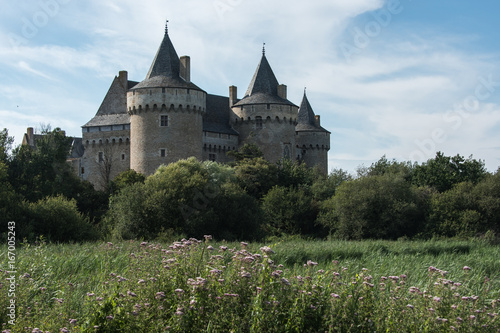 Château de Suscinio dans le Morbihan en Bretagne - France