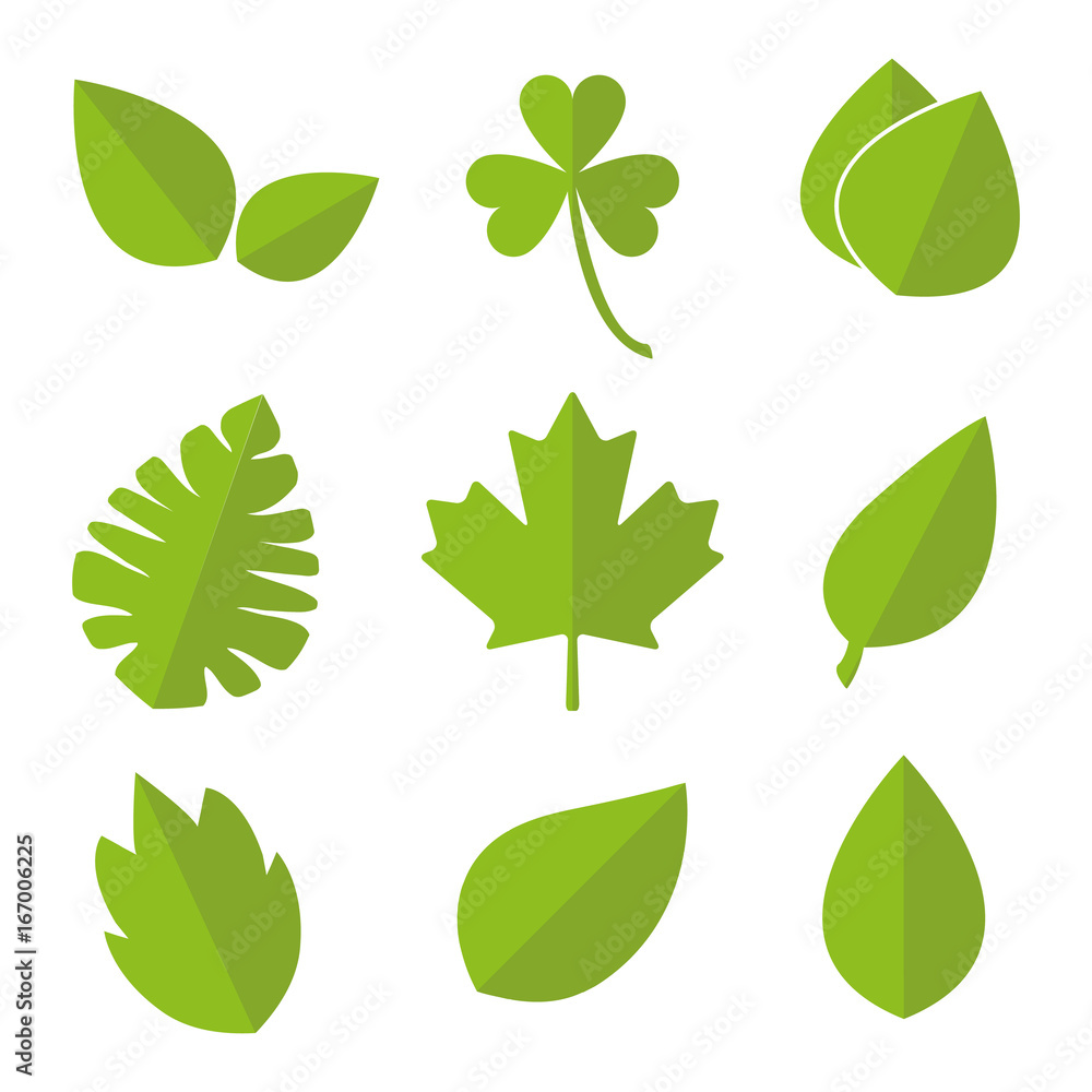 Leaves icons vector set isolated. Leaves icons vector set isolated.
