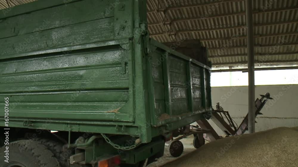 Wheat in the Silo, loader working The harvest of cereals. Storage of wheat grain. Wheat in the Silo, loader working The harvest of cereals. Storage of wheat grain.