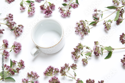 Decorative frame of oregano with tea cup in the middle isolated on white background.