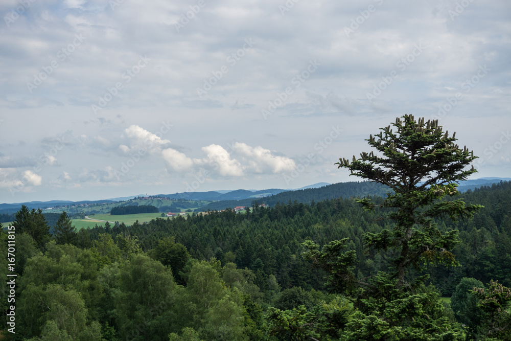 Aussicht auf den Bayrischen Wald vom Aussichtspunkt Waldgipfelpfad