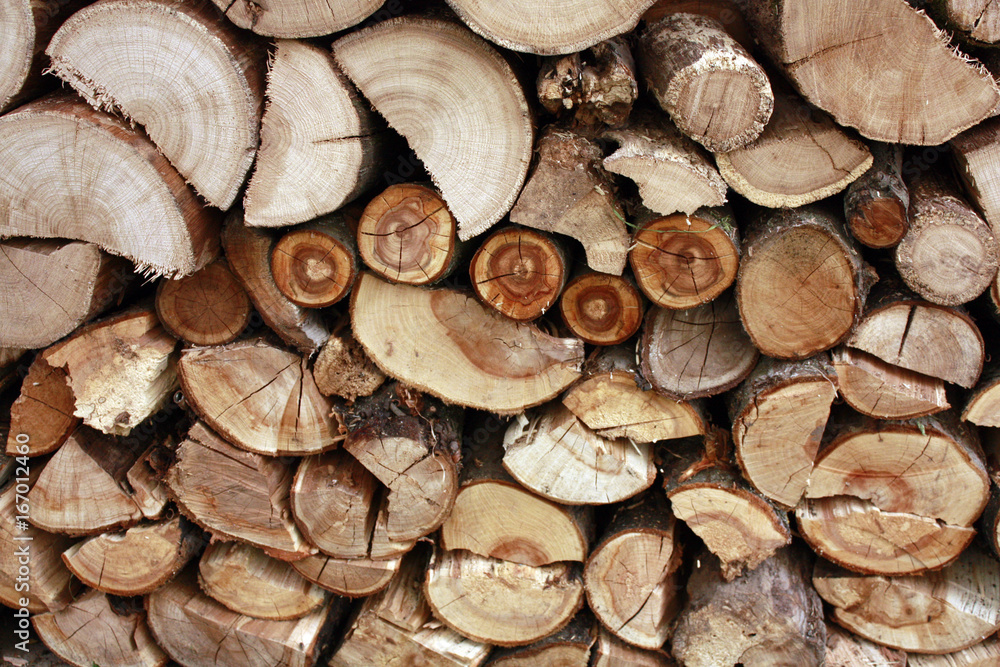 Fototapeta premium firewood