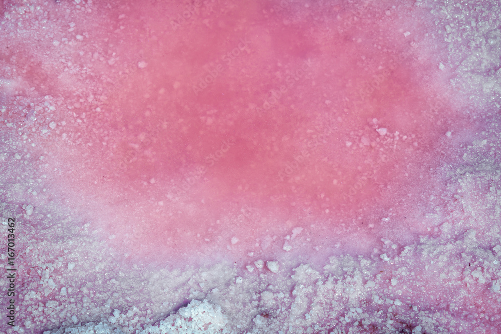 Fototapeta premium Pink brine and salt of Sivash Lake, colored by microalgae Dunaliella salina, famous for its antioxidant properties, enriching water by beta-carotene, used in medicine, dermatology and spa 